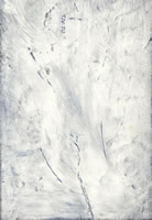 Starburst, 2008, acrylic on wood, 30.5 x 20.5 cms